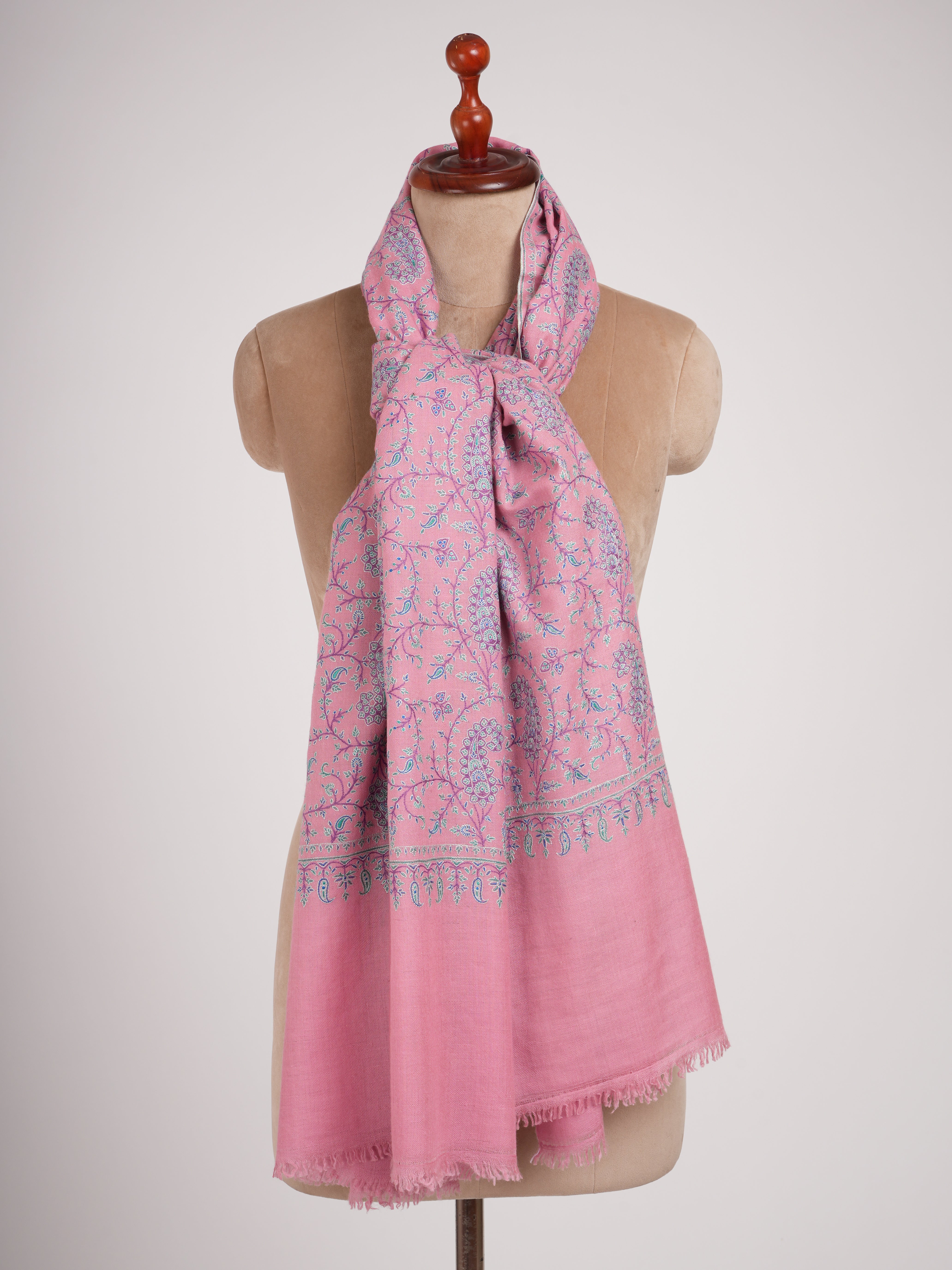 Paisley Jall Motif Embroidered Taffy Pashmina Shawl