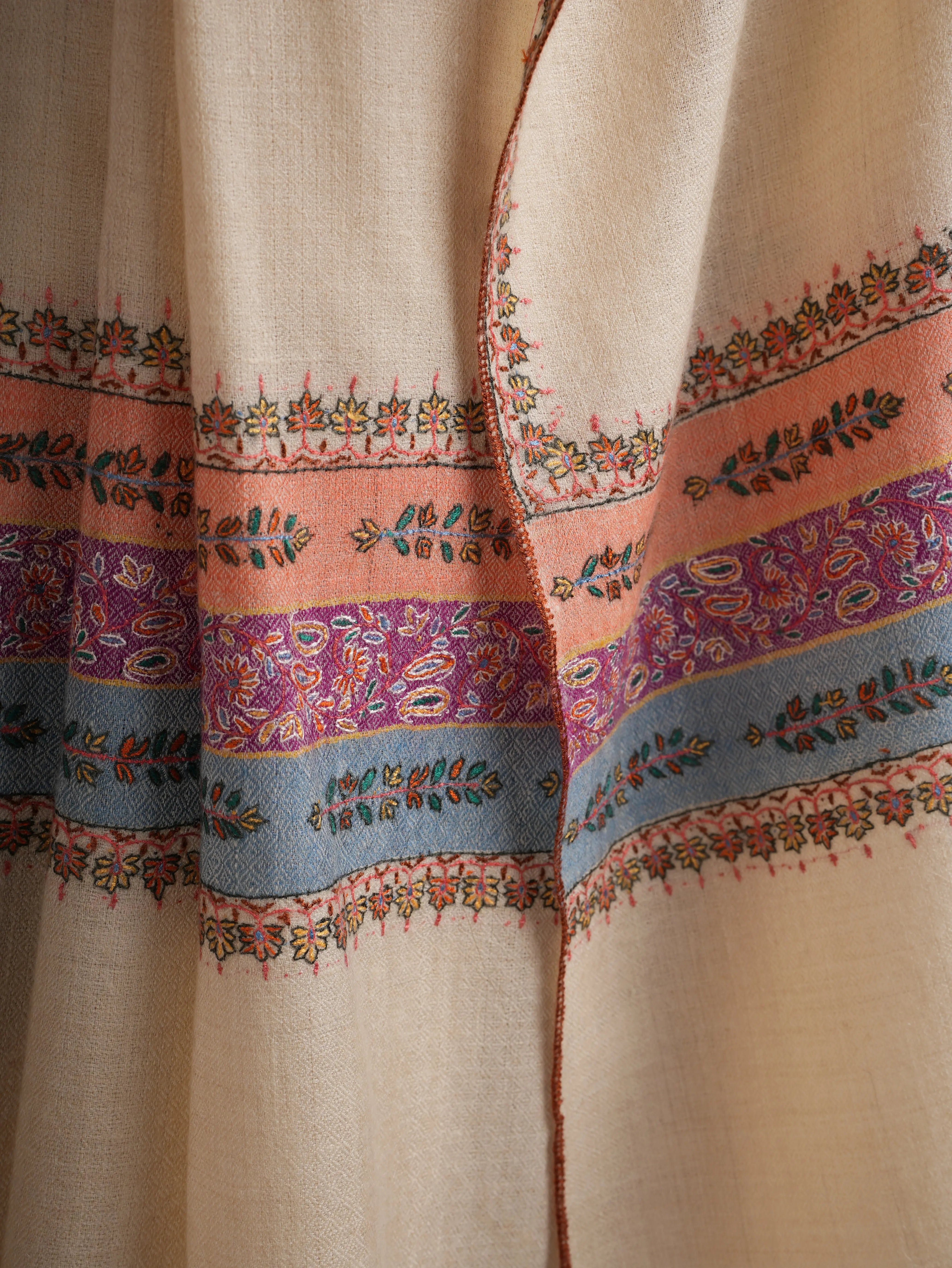 Pear Sorbet Color Pashmina Shawl with Contrast Palla Shahkaar