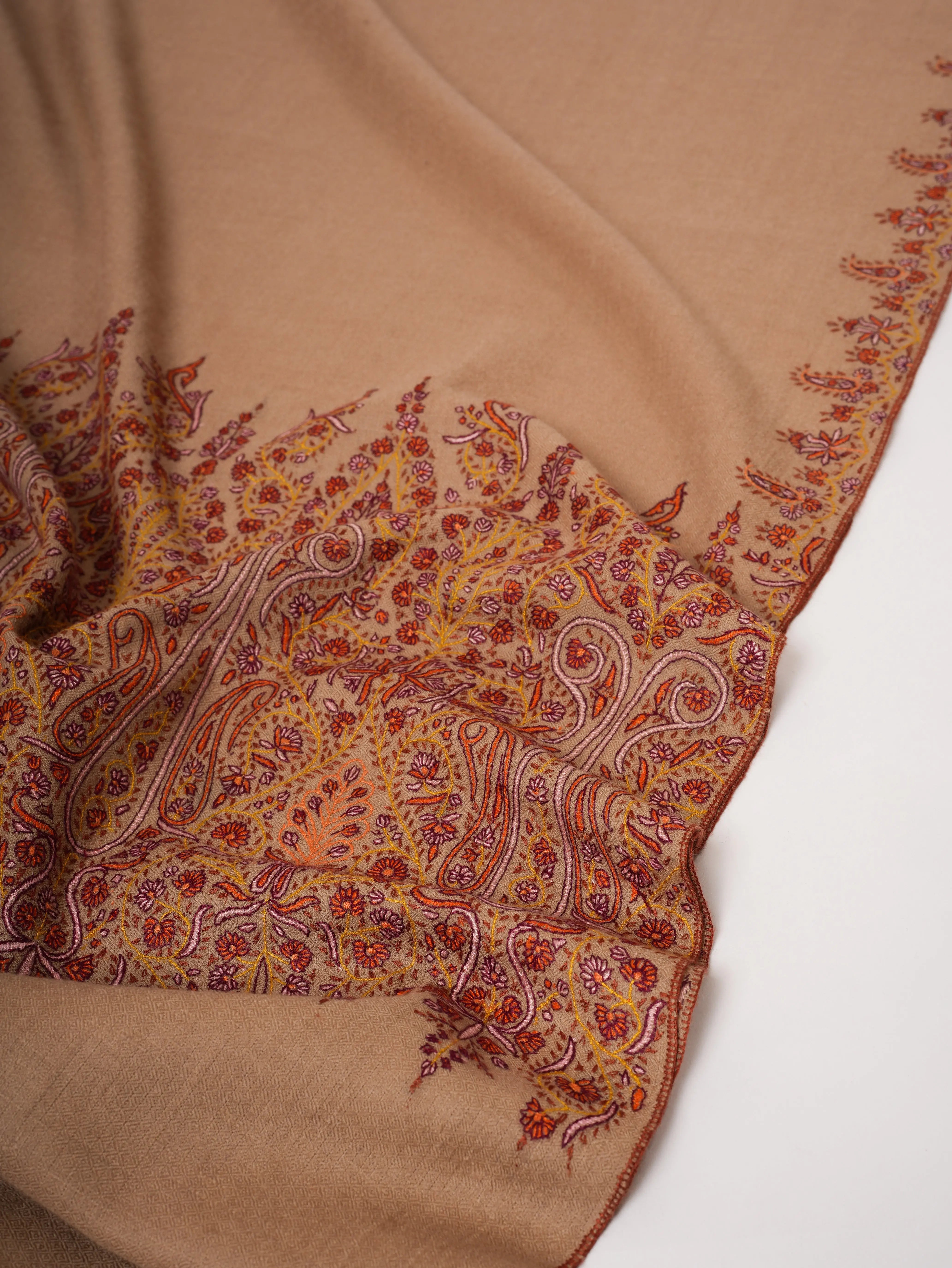Handwoven Beige Pashmina Shawl with Delicate Palla Motifs Shahkaar