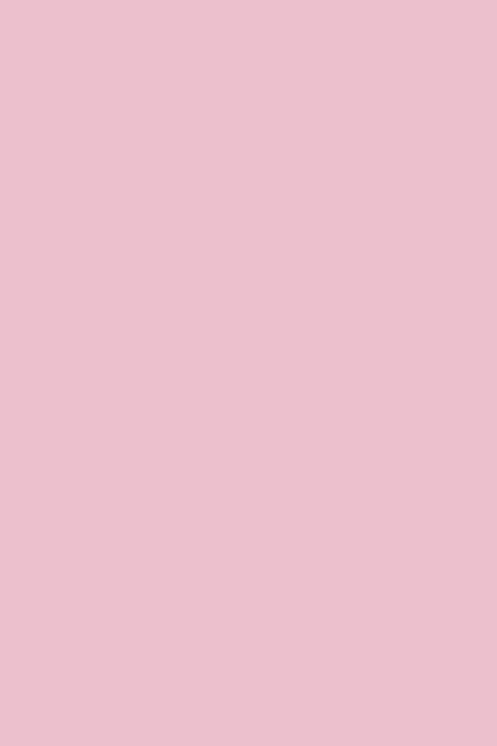Baby Pink Pashmina Shahkaar
