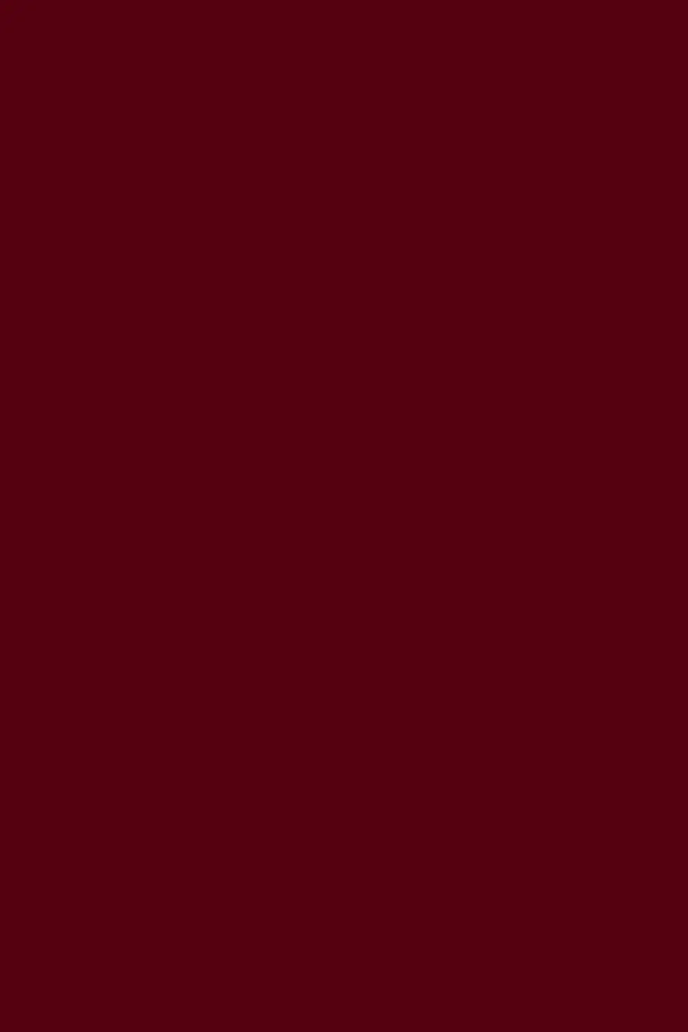 Burgundy Pashmina Shahkaar