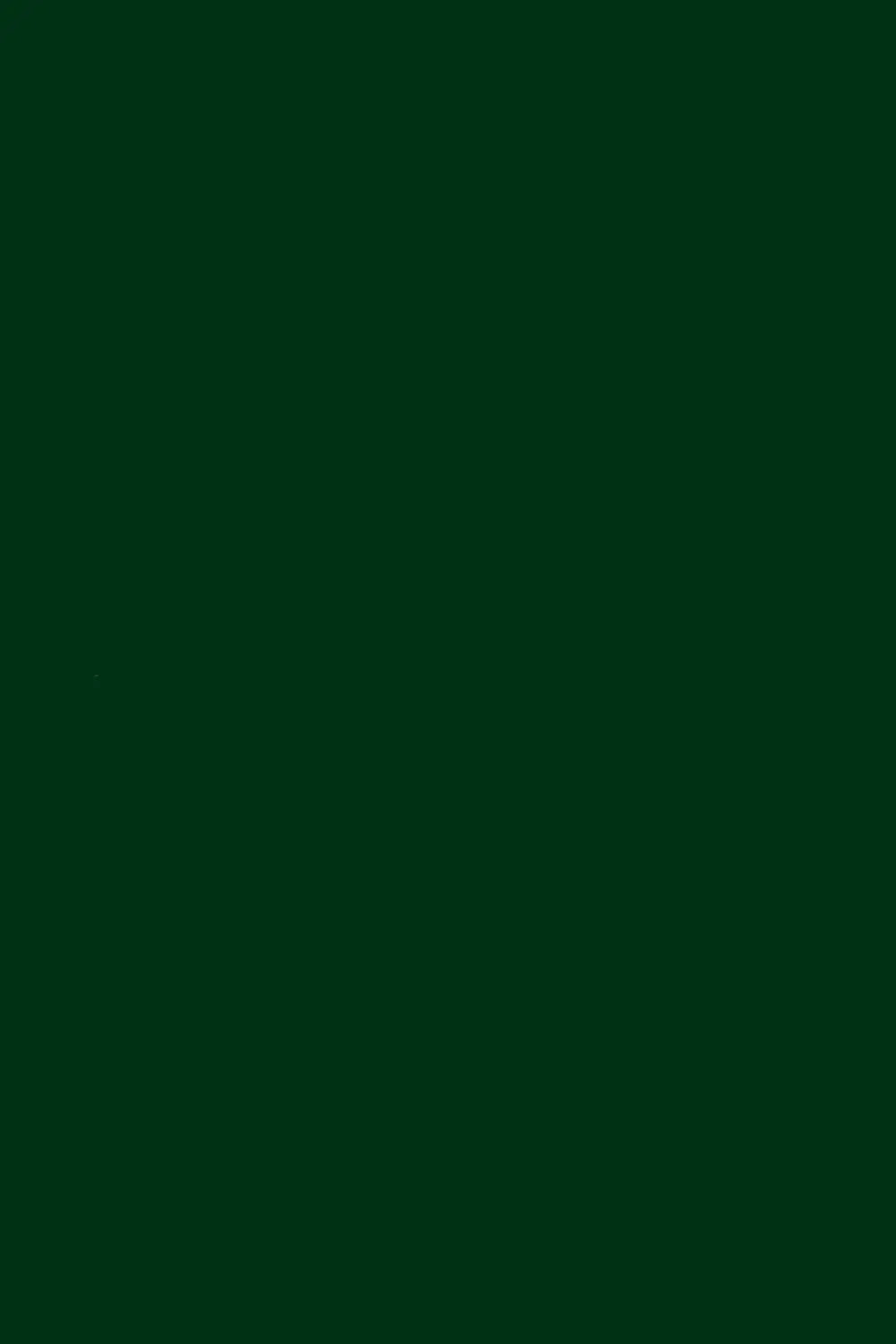 Emerald Green Pashmina Shawl Shahkaar