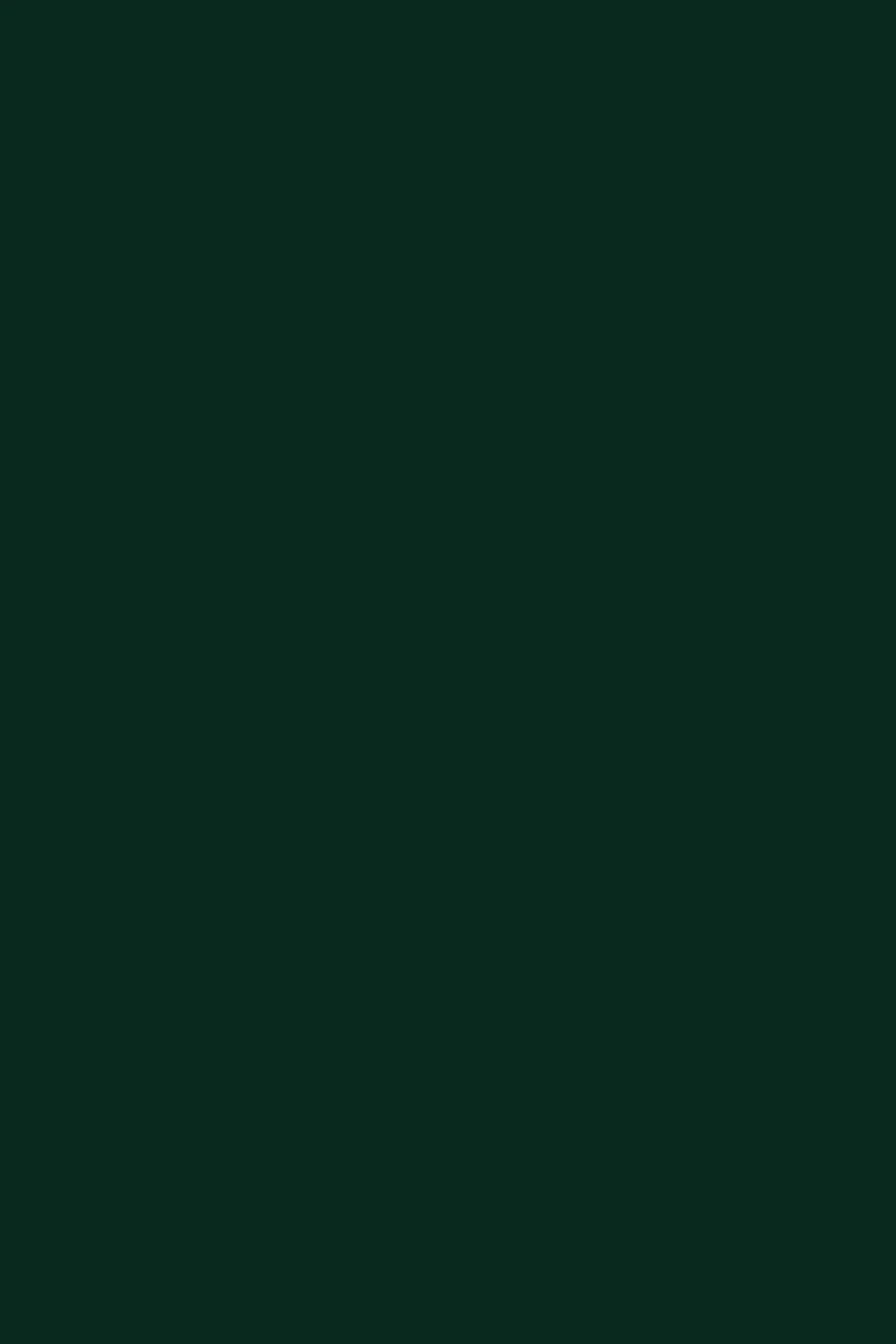Fern Green Pashmina Shahkaar
