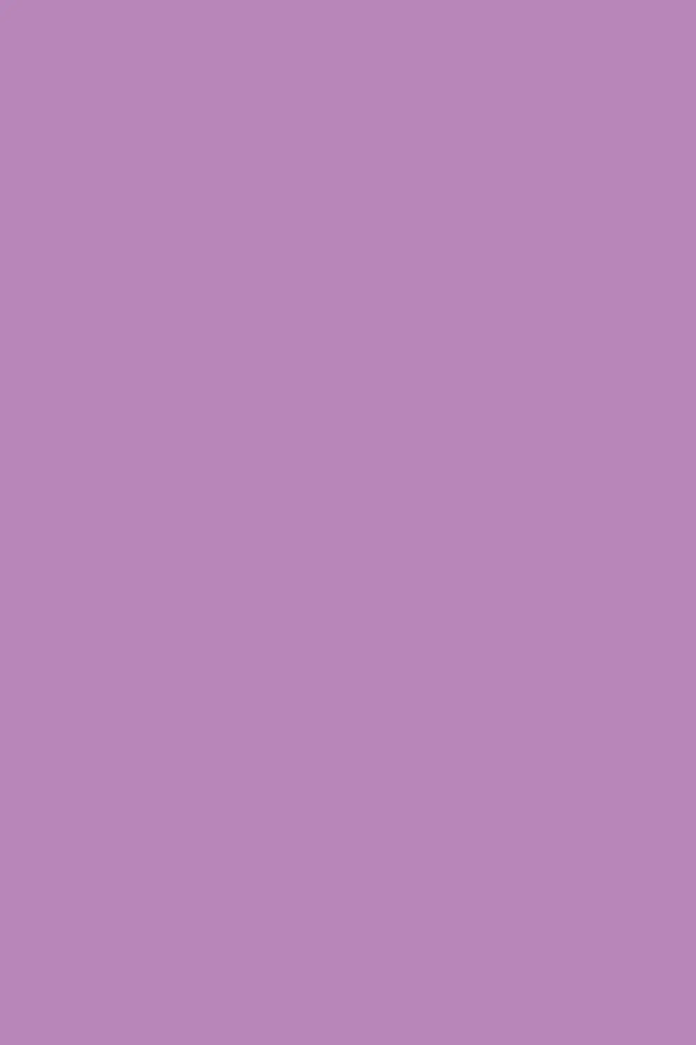 Lavender Hand Spun Pashmina Shahkaar