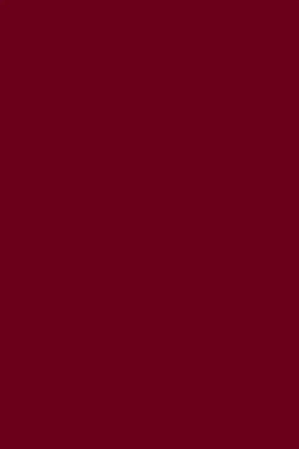 Maroon Pashmina Shahkaar
