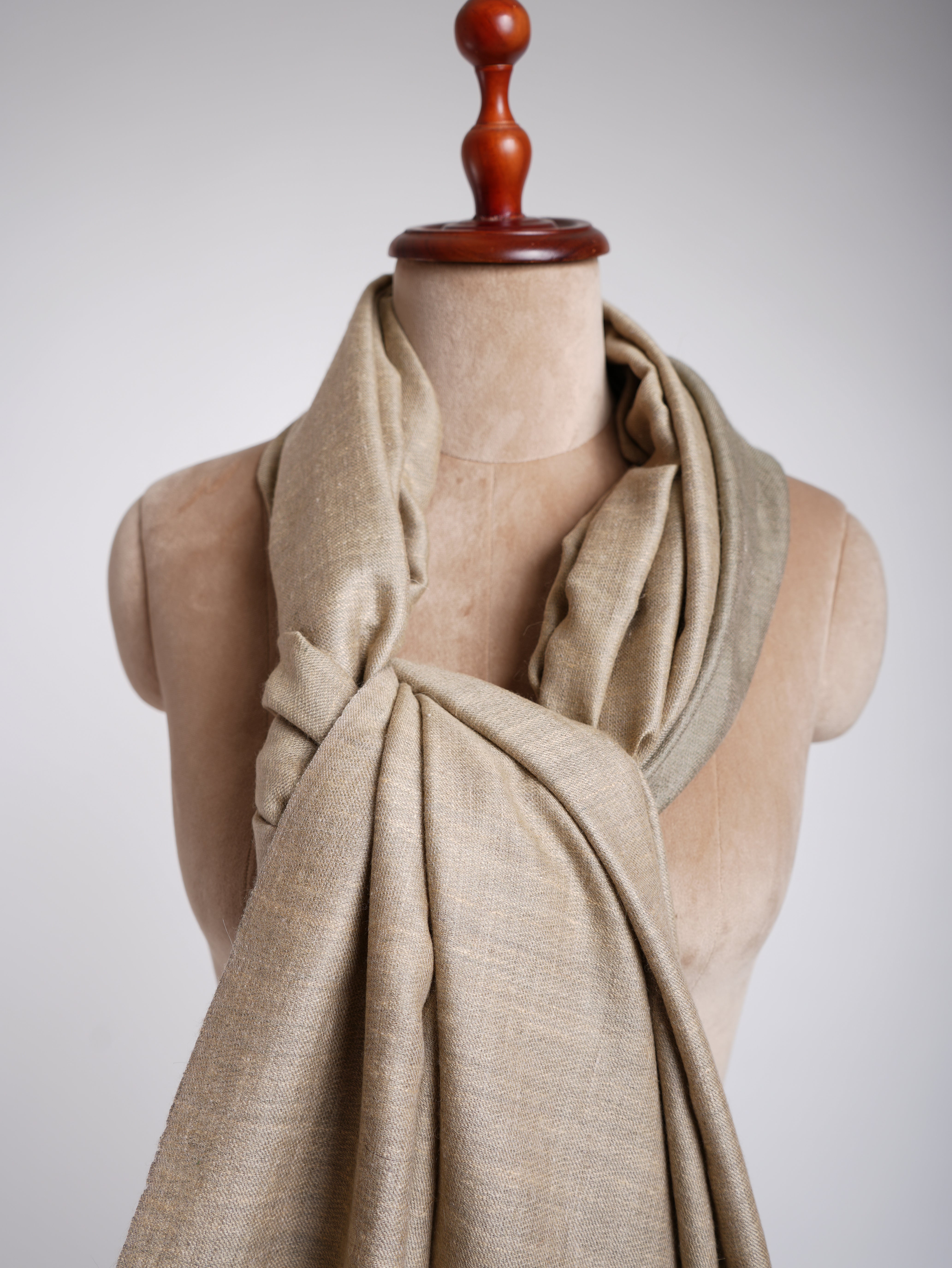 Dual Shade Handwoven Pashmina Shawl Leek Green Shahkaar