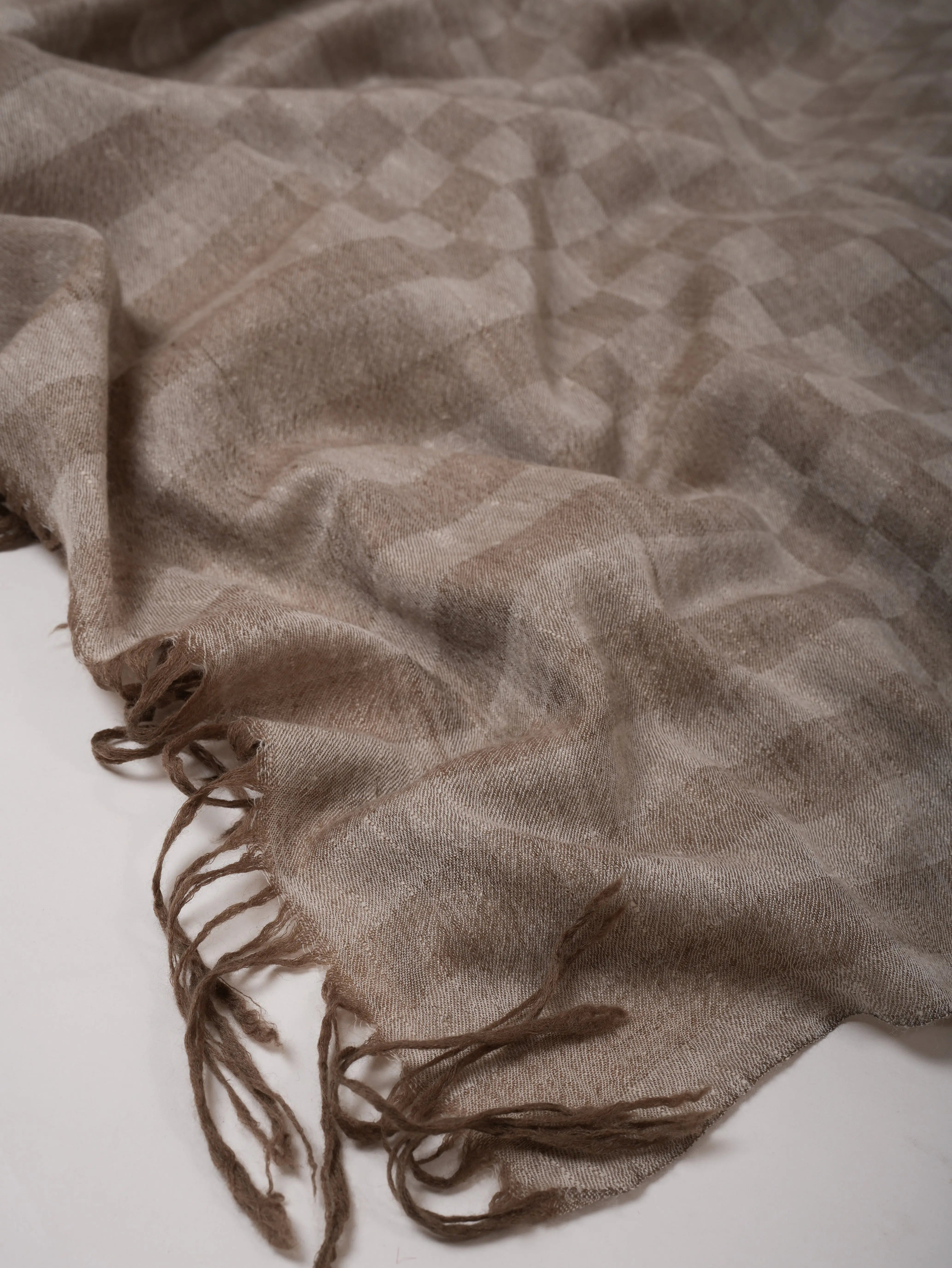 Oversized Dual-Shade Pashmina Shawl in Check Pattern – Soft & Elegant Shahkaar