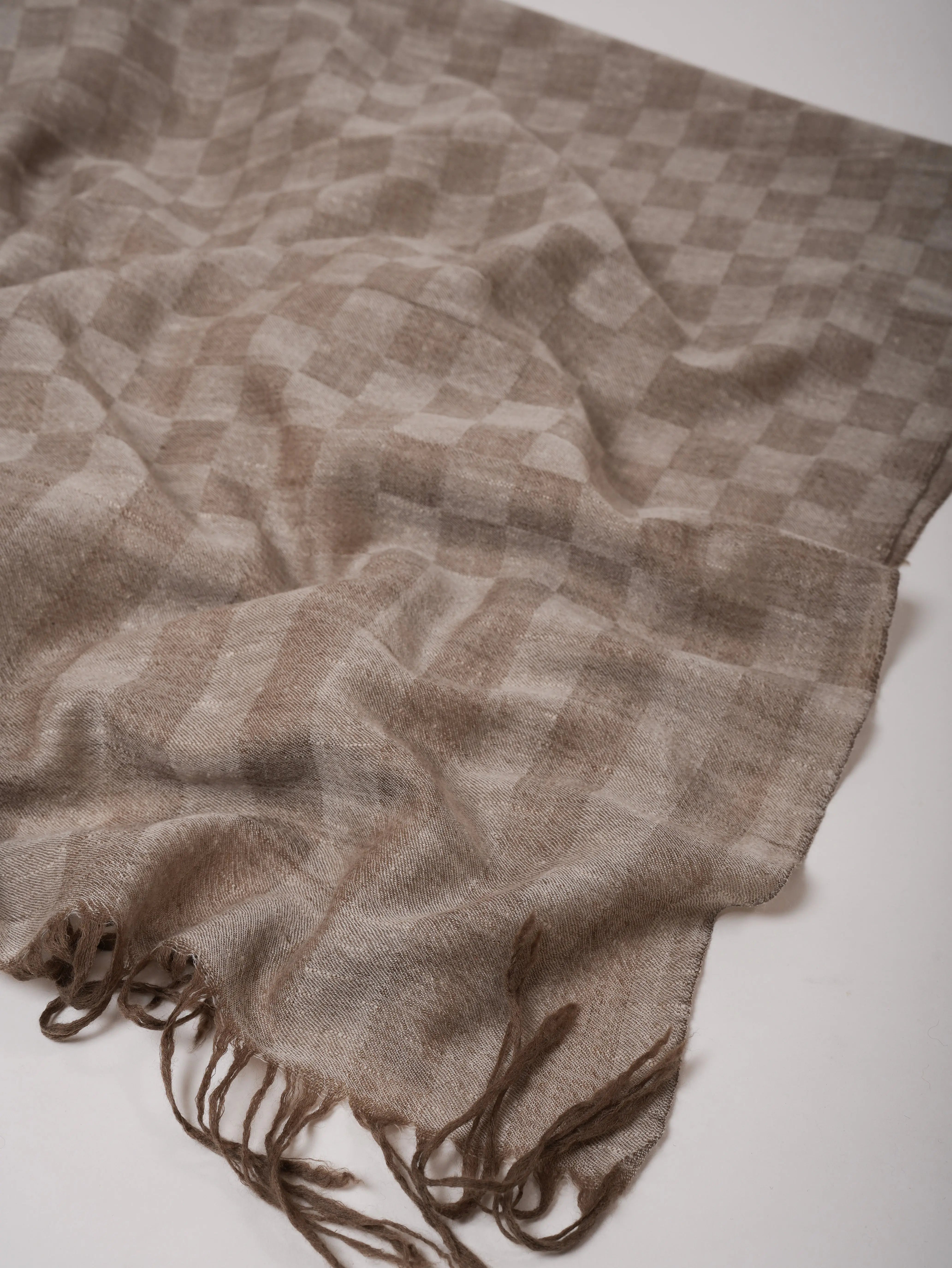 Oversized Dual-Shade Pashmina Shawl in Check Pattern – Soft & Elegant Shahkaar