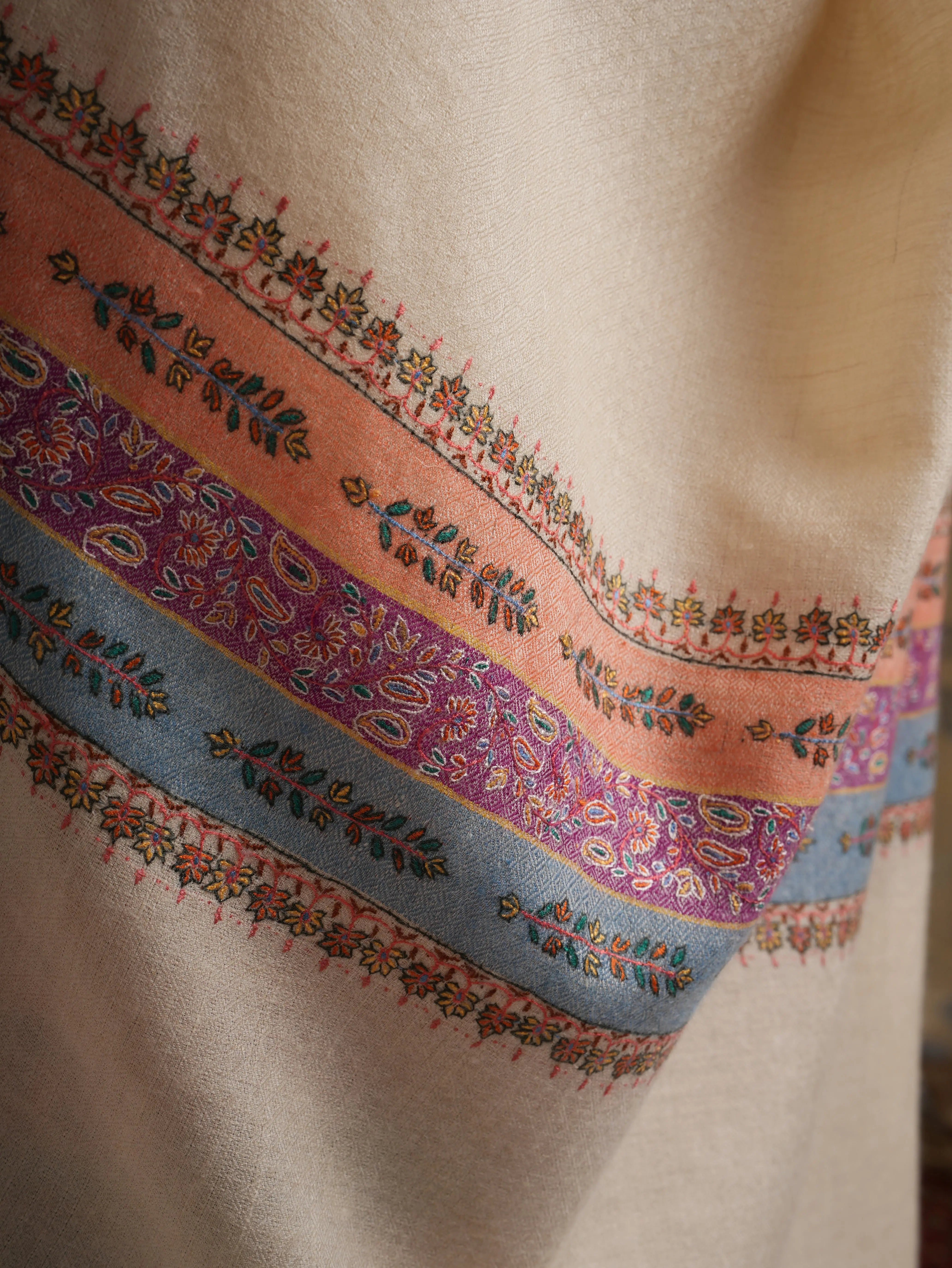 Pear Sorbet Color Pashmina Shawl with Contrast Palla Shahkaar