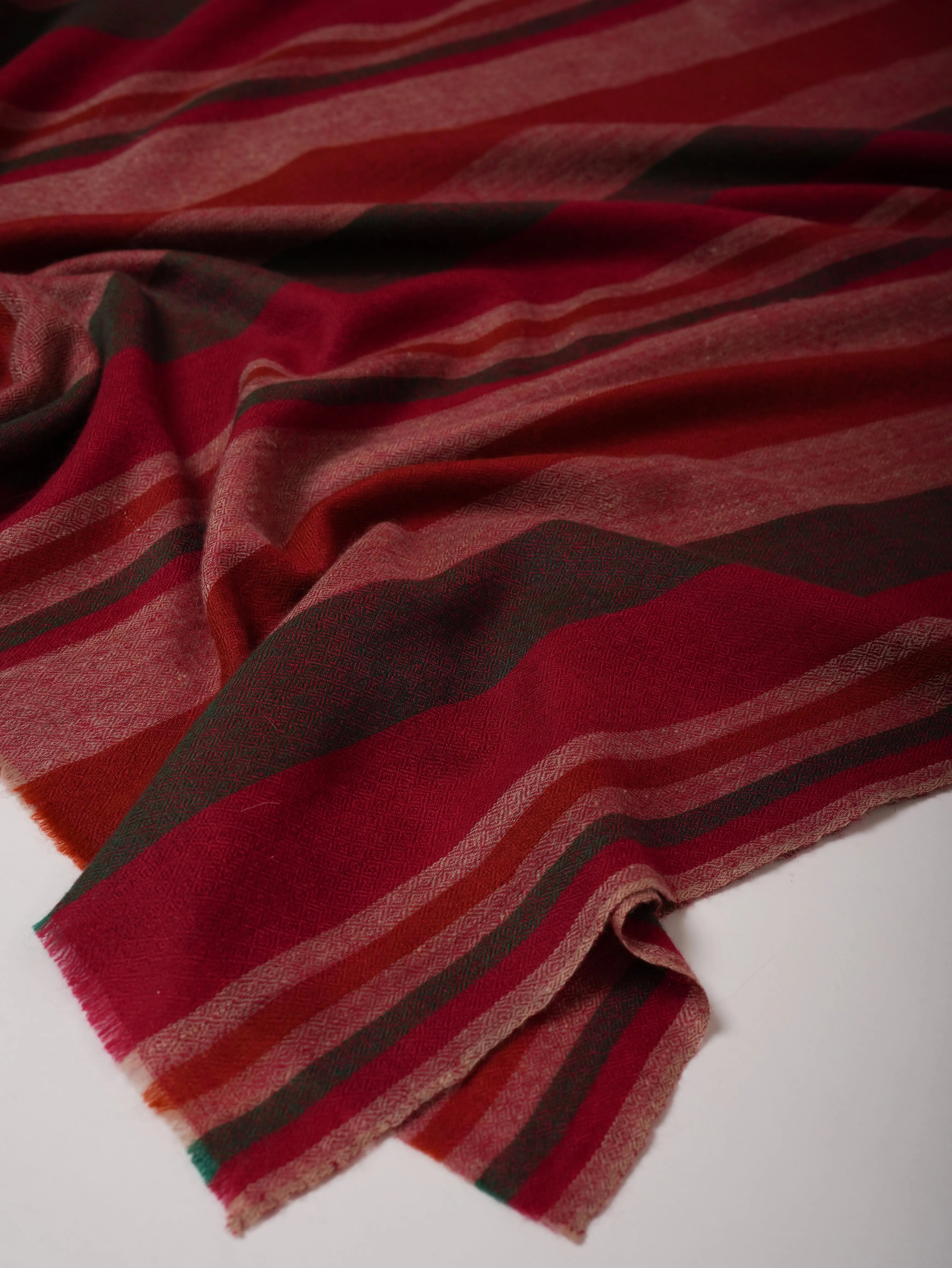 Contemporary Handloomed Baby Soft Pashmina Shawl Shahkaar