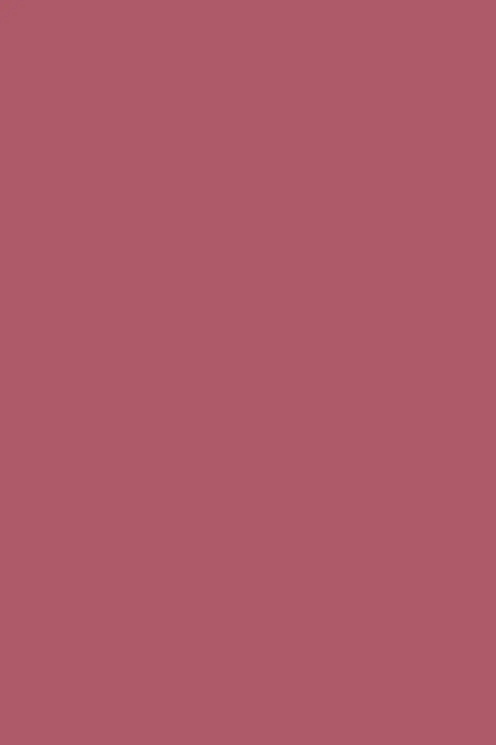 Dusty Pink Pashmina Shahkaar