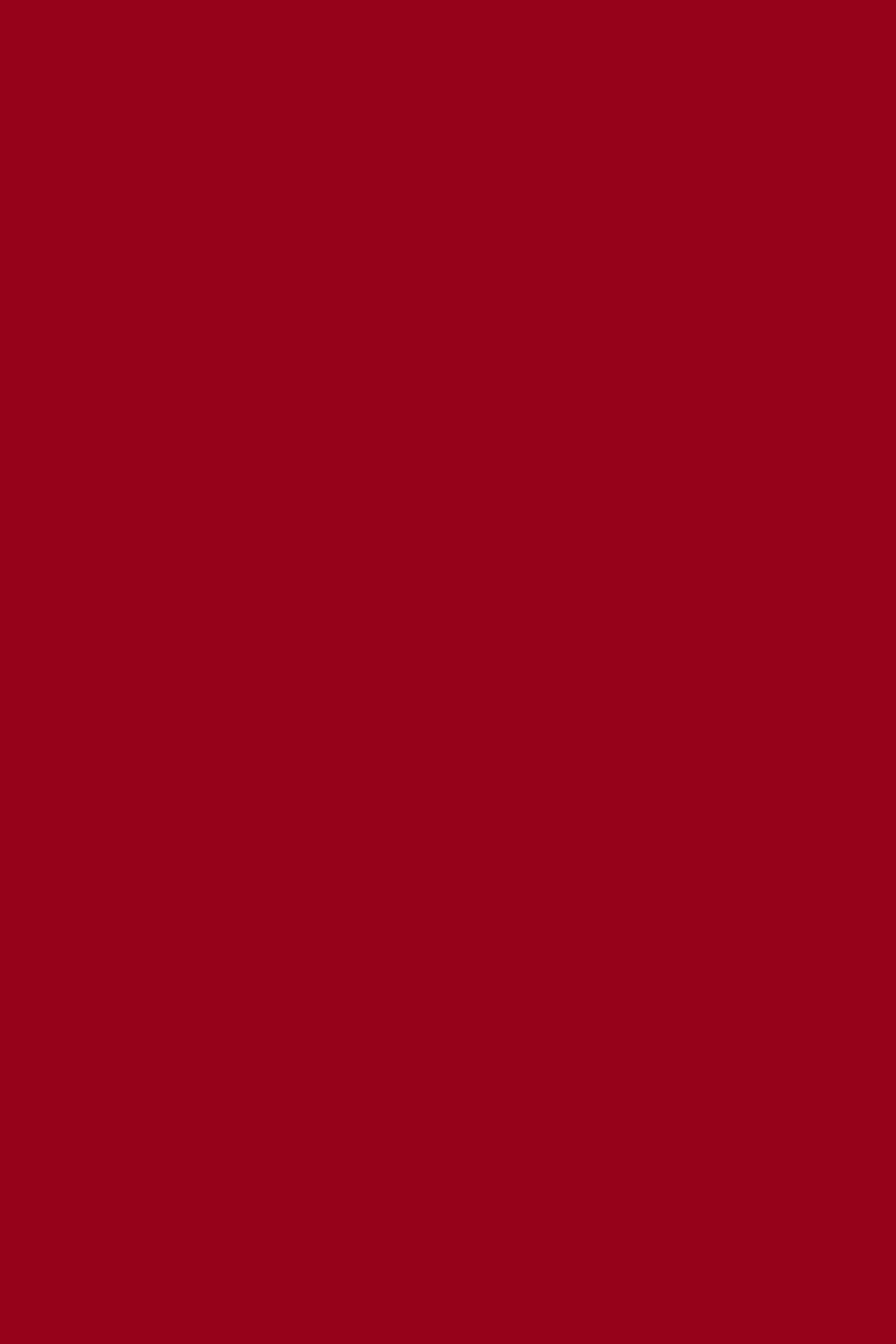 Red Pashmina Shahkaar